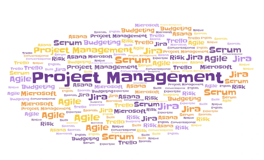 Wordcloud of the best keywords to put in a project manager resume